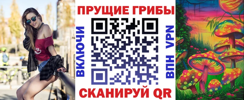 где купить   нарко площадка клад  Галлюциногенные грибы Cubensis  Дрезна 